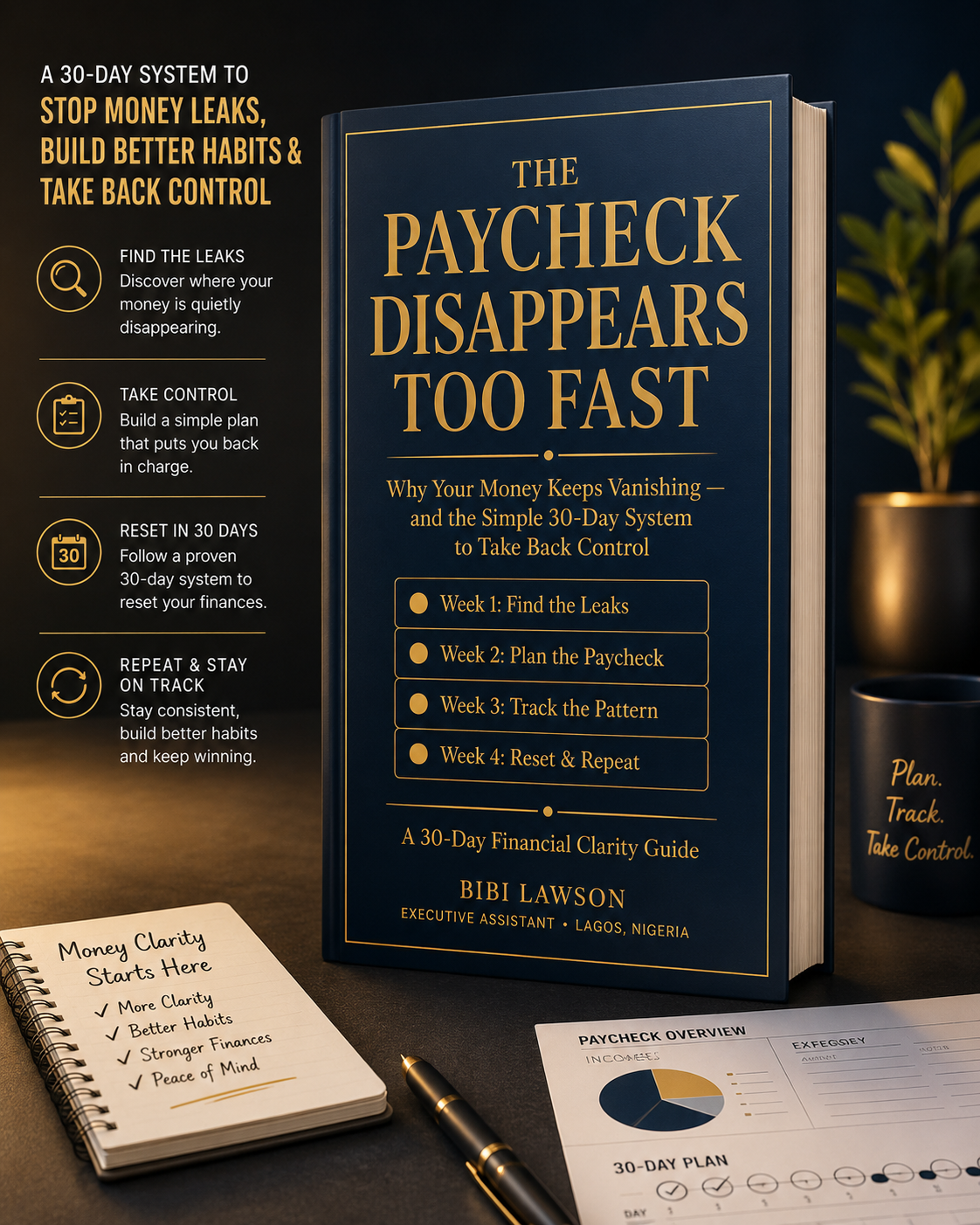 THE PAYCHECK DISAPPEARS TOO FAST - main PDF guide mockup